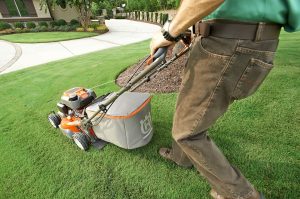 Lawncare and Landscaping Insurance | Workers Compensation Shop Blog