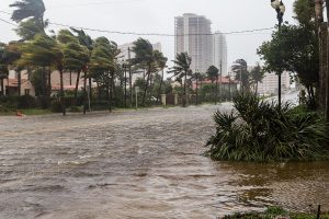 Hurricane Season is a great time to prepare your home and office for a natural disaster. 