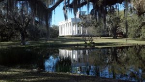 Louisiana Swamp Country