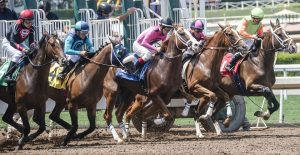 Kentucky is the unofficial home of Horse Racing. 